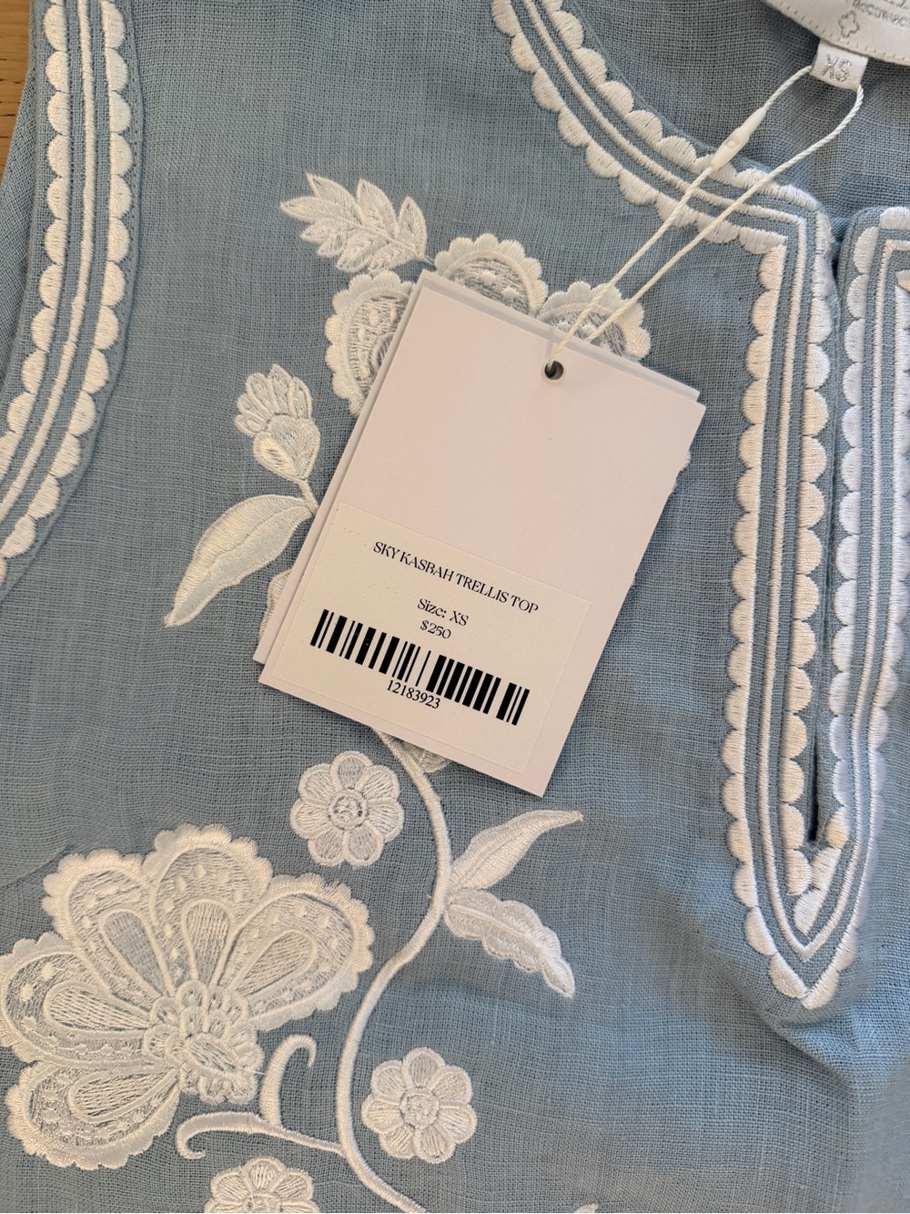 Asha OTM exclusive Light Blue Sleeveless Embroidered Maxi skirt and top - Picture 6 of 8